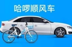 [9分钟科普]郑州咨询公司_哔哩哔哩-2